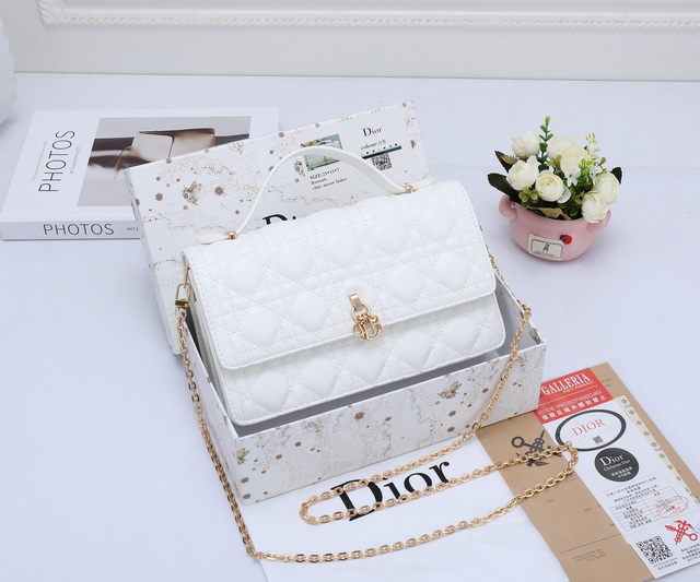 DlOR Handbags 078